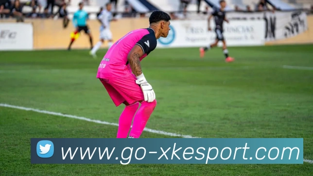 星空电竞服务体系